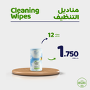 Natural Wet Cleaning Wipes